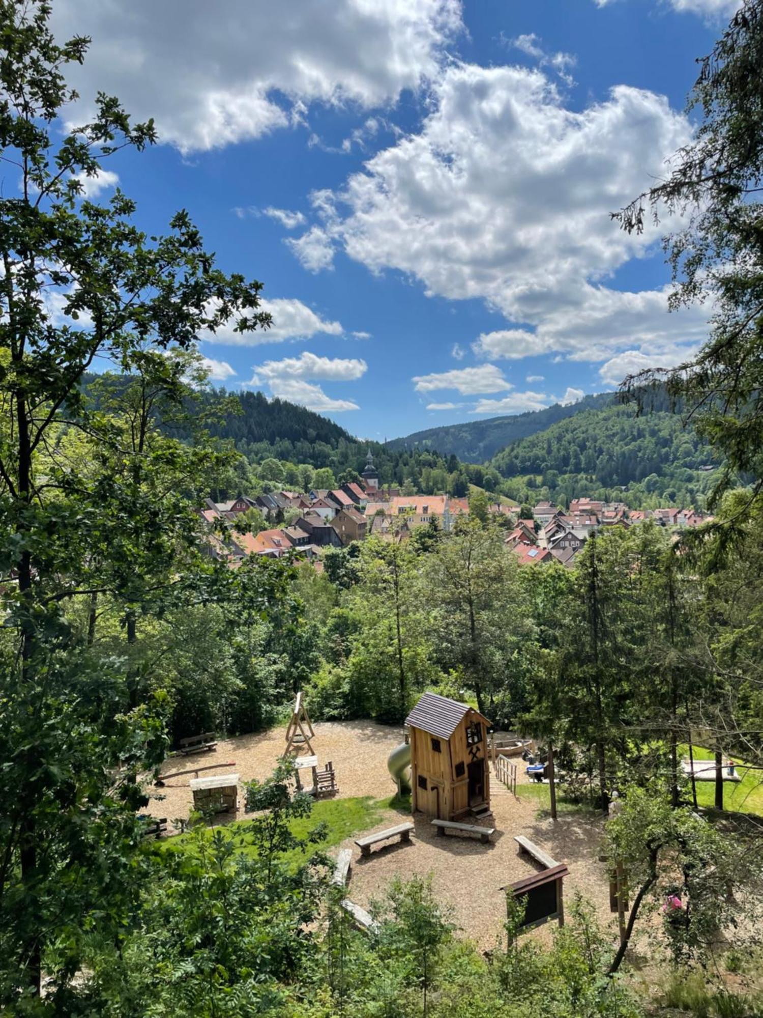 Bergstadt Apartment Lautenthal ,Modern, Stylisch, Geraeumig Εξωτερικό φωτογραφία